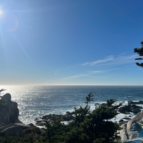 Meet your Posher, Neha - Picture 1 of 1